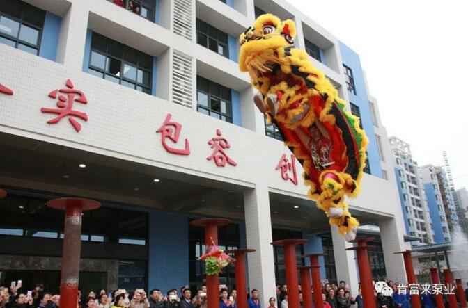 醒狮贺岁,成都天啸可持续发展战略有限公司2019年开工大吉